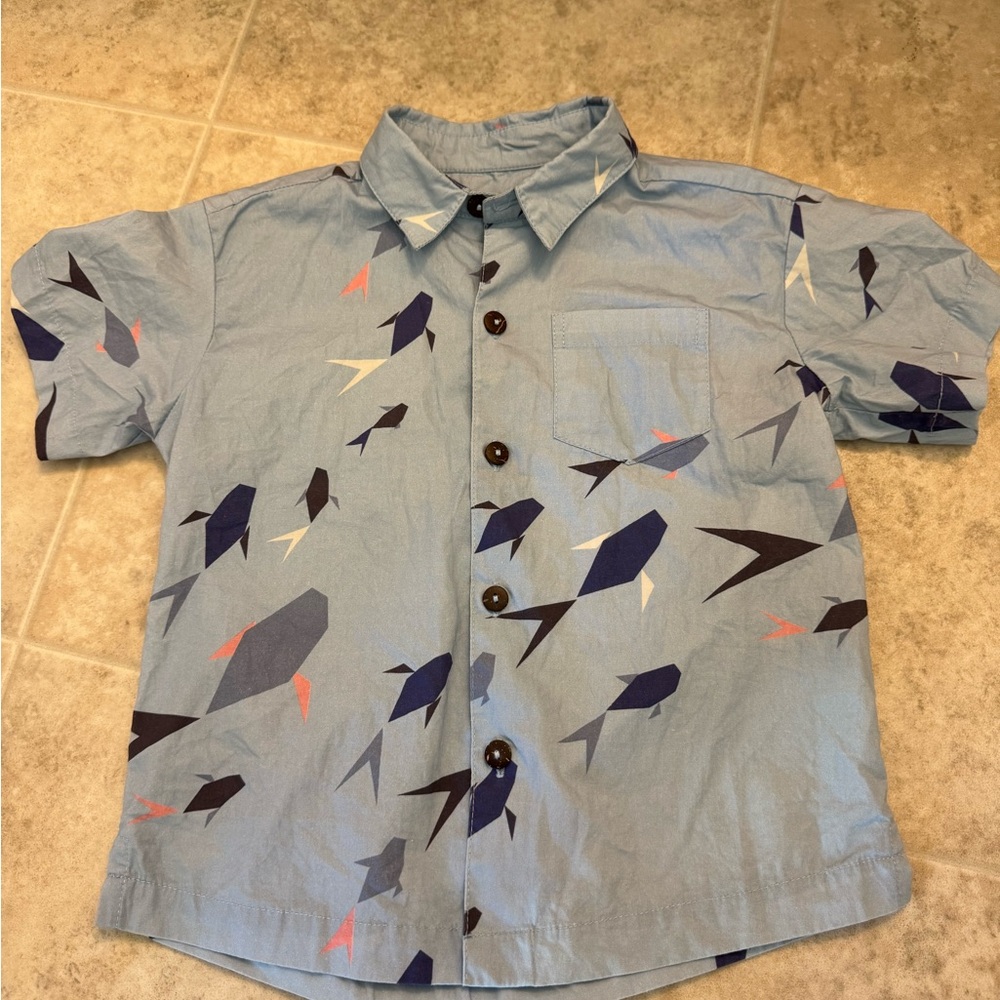 Ava Sky Boys Origami Fish Print